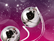 Boules de Geisha en m�tal argent�