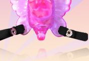 Stimulateur Venus Penis