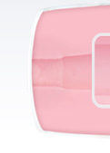 Pink Lady Original Fleshlight dans sa New Box